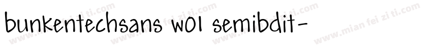 bunkentechsans w01 semibdit字体转换